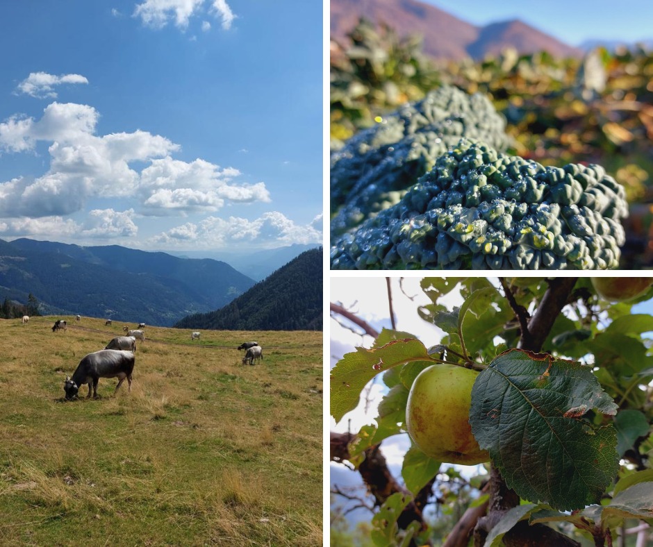 20230211193944WhatsApp Image 2023-01-30 at 14.45.23.jpeg